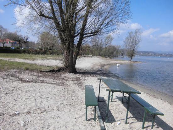 Lake Maggiore 2 Minutes Apartment Dormelletto Zewnętrze zdjęcie