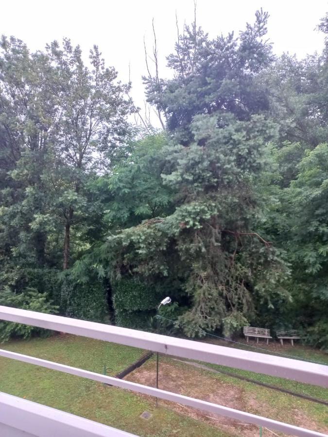 Lake Maggiore 2 Minutes Apartment Dormelletto Zewnętrze zdjęcie