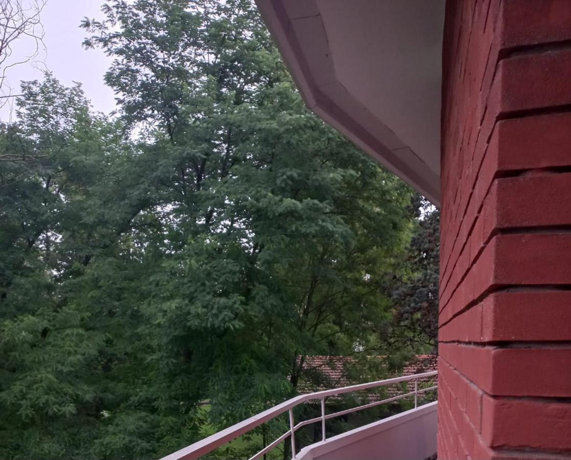Lake Maggiore 2 Minutes Apartment Dormelletto Zewnętrze zdjęcie
